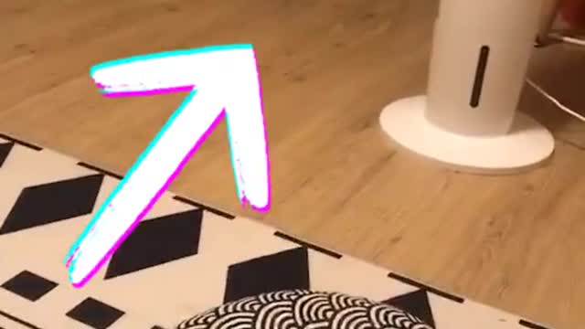 No fighting!