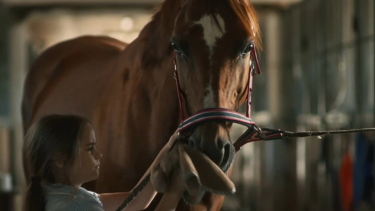 Little girl using napkin to clean muzzle of chestnut horse with bridle in stable on farm