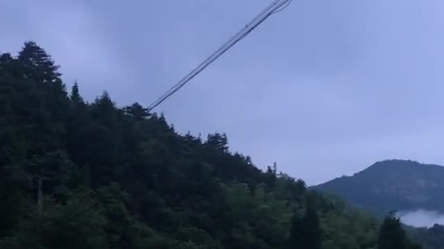 The mountains are free of cattle