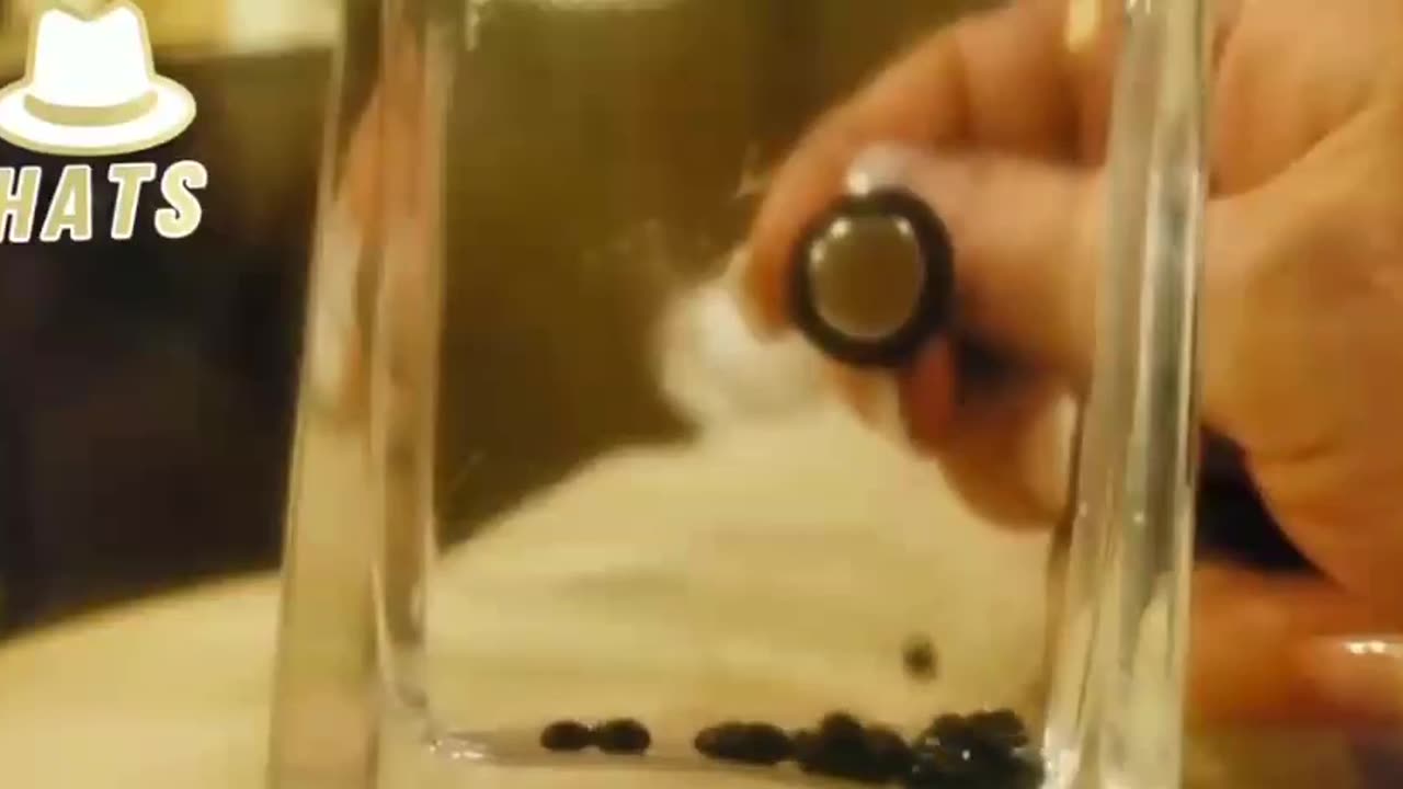 Graphene Oxide and how it connects to magnets. *1min.*