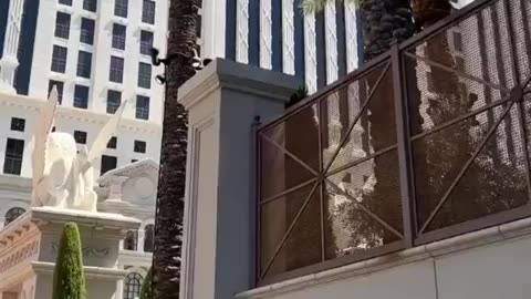 WATCH AS SWAT TEAMS RESPOND AS A ARMED MAN BREAKS HOTEL WINDOWS