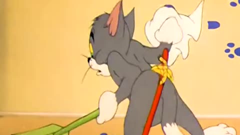 Tom and jerry lover ❤❤❤
