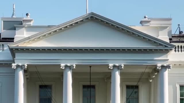 President-elect Biden's dog will be the first rescue dog Mi to move into the 5 White House