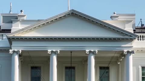 President-elect Biden's dog will be the first rescue dog Mi to move into the 5 White House