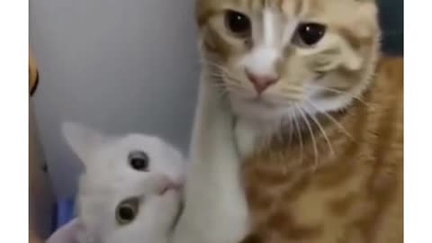 They thought they were alone 😂😂😂☠️💔☺️☺️😍🥺😱
