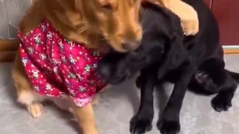 Who first