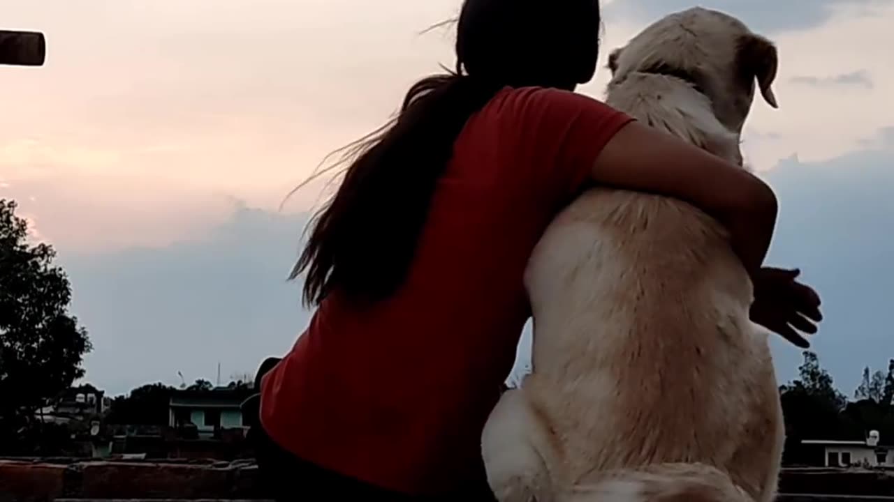 Unconditional love in every wag and cuddle #pawsomeBond"