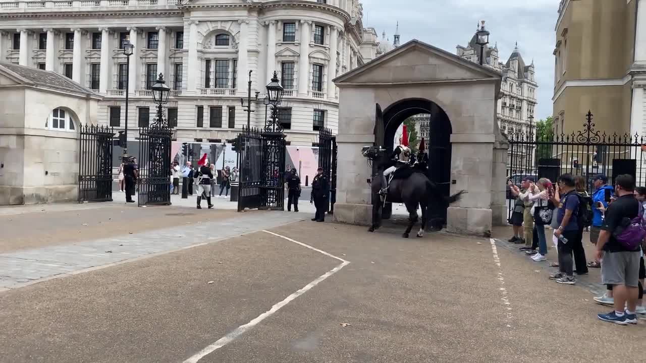 Queen’s Guard Horse Goes Crazy