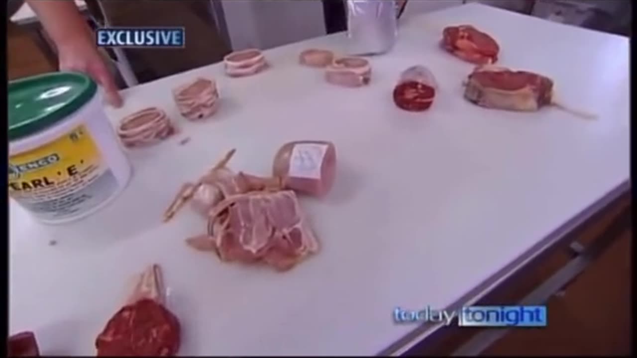 MEAT GLUE