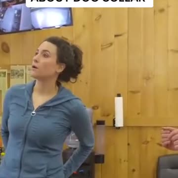 Treatless Dog Training Secrets By Anthony Louis