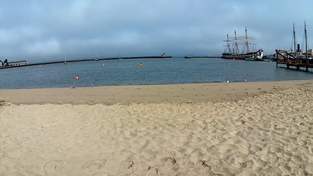 Swimmers at fisherman's wharf