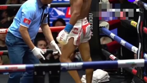 This fighter knock his own self Out.