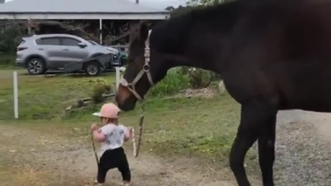 Little Toddler Has Got The Moves, And She Isn't Afraid To Show Them