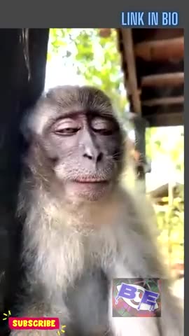 420's CLIP OF THE DAY May 30, 2024