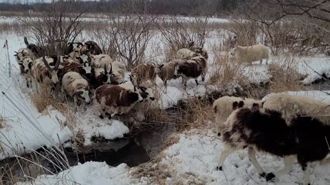 Snowy creek crossing (better)