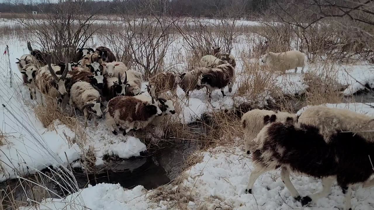 Snowy creek crossing (better)