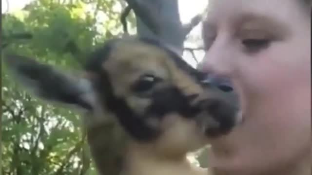 he found his mom
