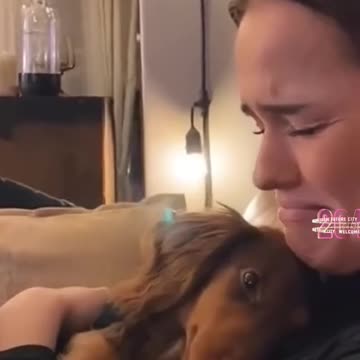 Dog Lover Girls | Every Dog Lover | Joy Funny Factory
