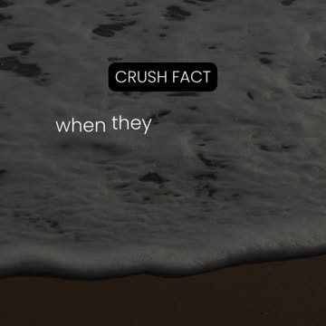 The way your crush's eyes light up...