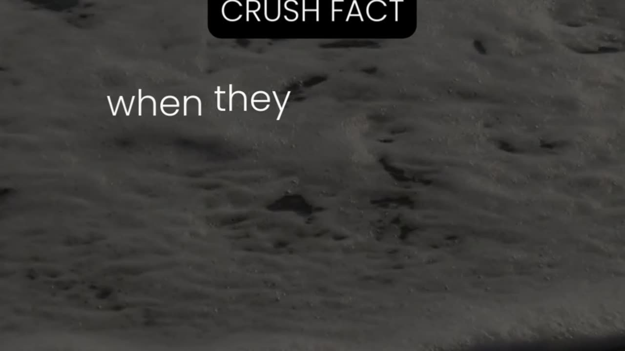 The way your crush's eyes light up...