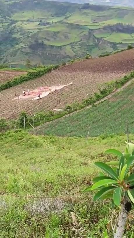 How to quickly load a car with sacks of potatoes