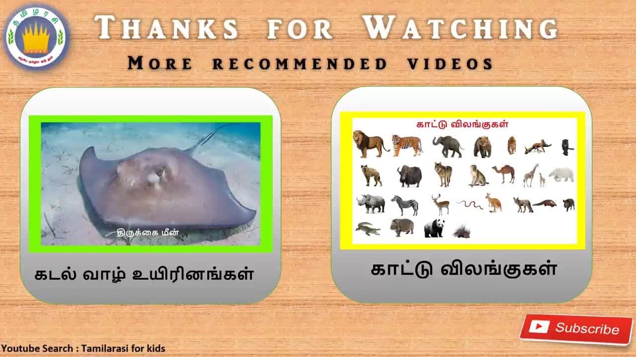 Animal Sounds