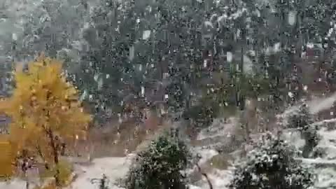 Snow fall