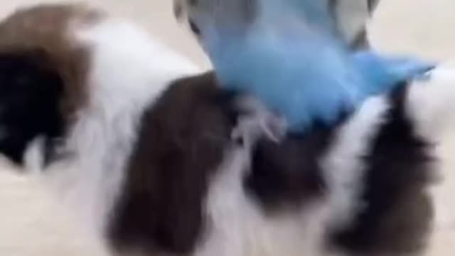 🥰🥰🥰