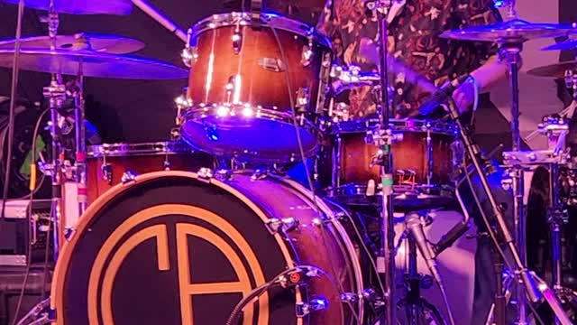 City Awake "Tree Song"