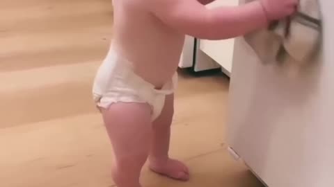 funny videos babies all time