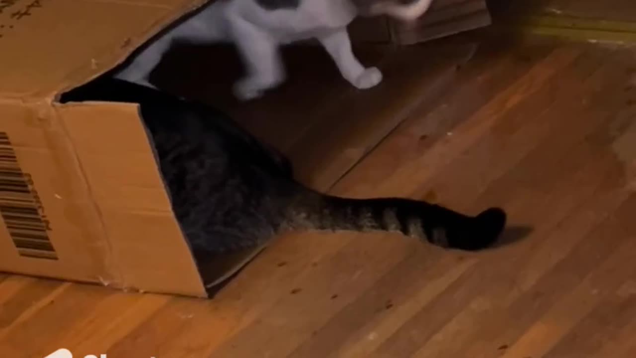 Trigger's New Crib..