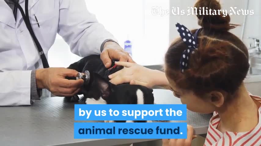 Nick Fleming RVGCR Intel Update 8-19-21