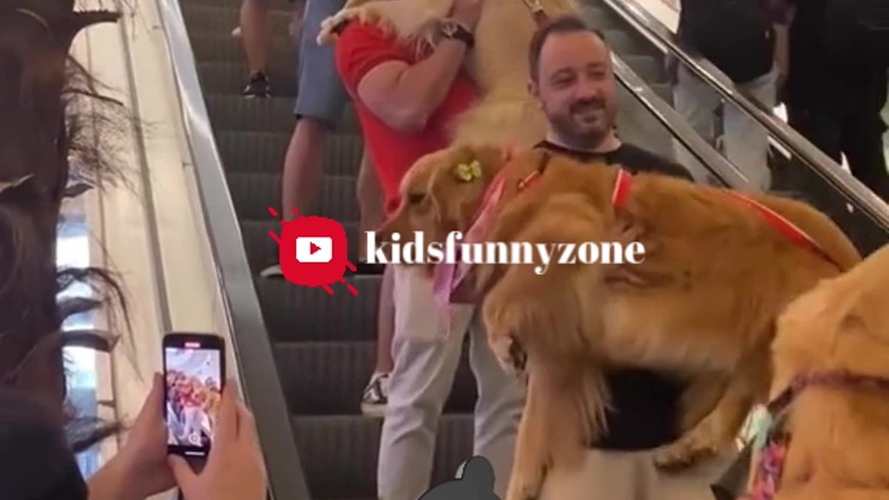 😂 The Funniest Fails and Bloopers (Try Not to Laugh Challenge) 🤣 part-11#funny#trynottolaught #viral