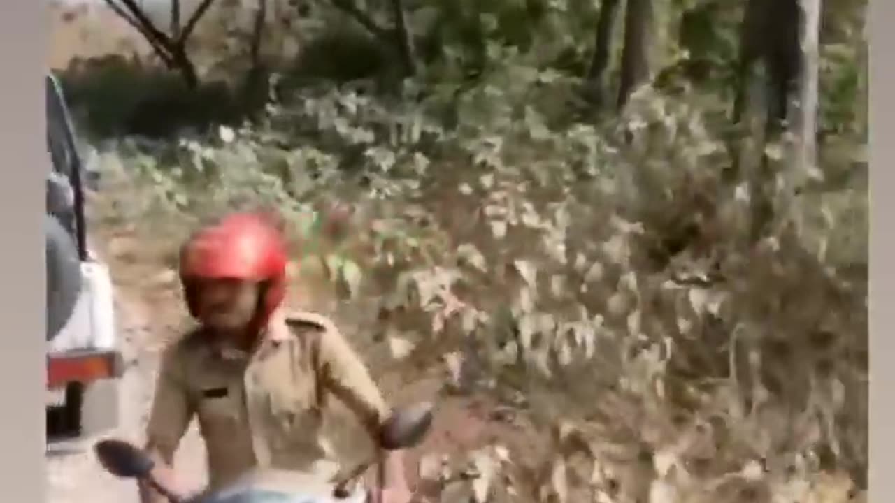 Very funny