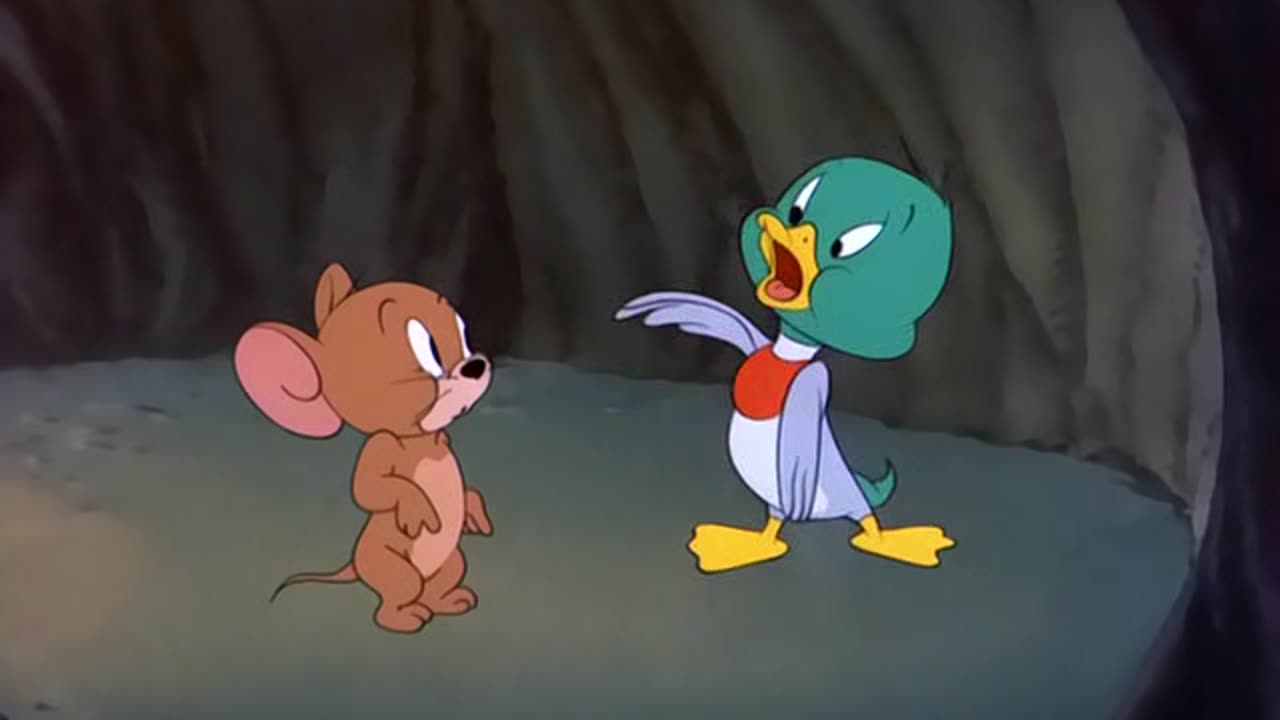 TOM N JERRY 064 The Duck Doctor [1952]