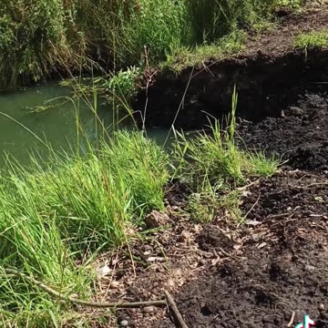 Fishing in the sun at annignney
