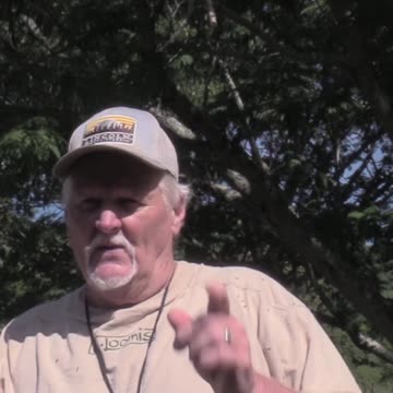 How to use Battery pruner around the yard #yard #pruning