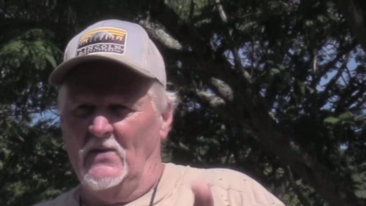 How to use Battery pruner around the yard #yard #pruning