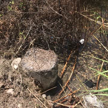 Kursi Beach excavations