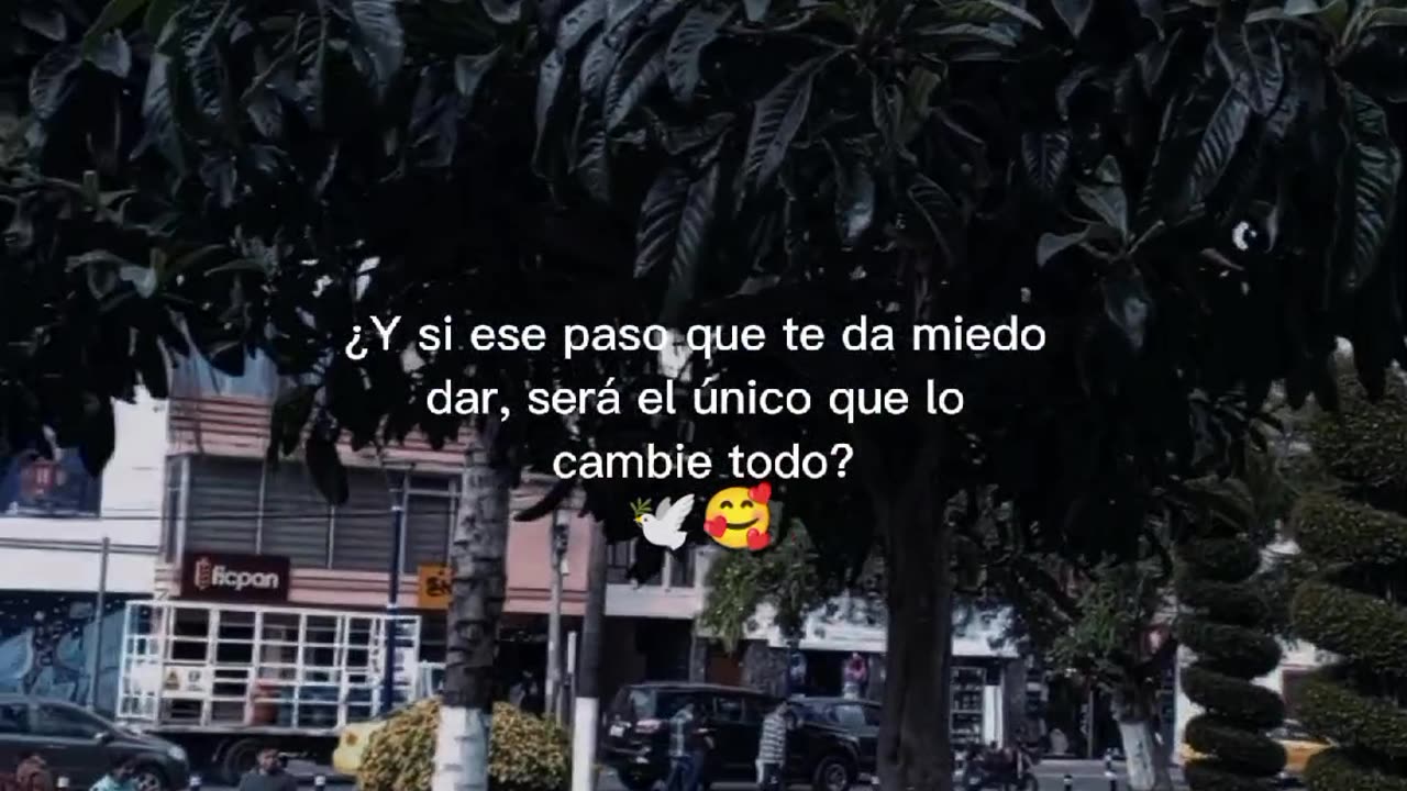 Frases Reflexión 🤍