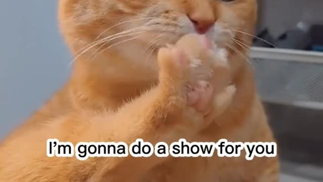 Performashowforyou.