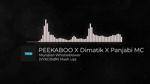 Pekaboo vs Dimatik x Panjabi Mc Vyxcision mash up