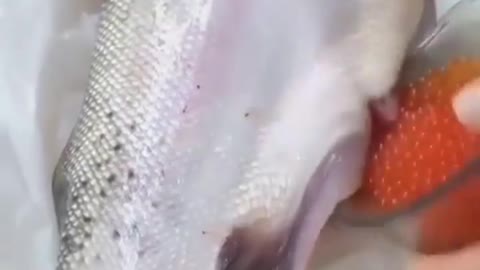 This is a beautiful and charming water-dwelling species