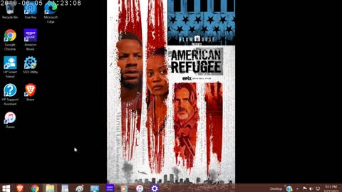 American Refugee Review