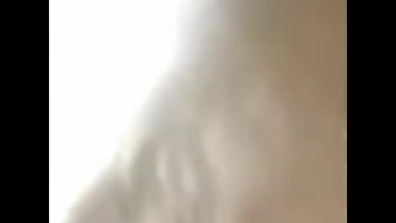 Funny Animals!!
