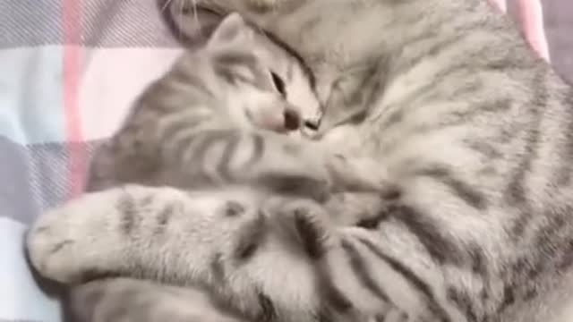 Isn't it always like that when you just need a little nap.