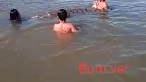 Brazil videos