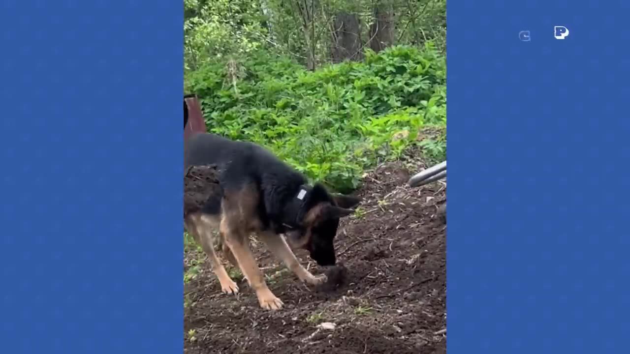 Funny fails..........