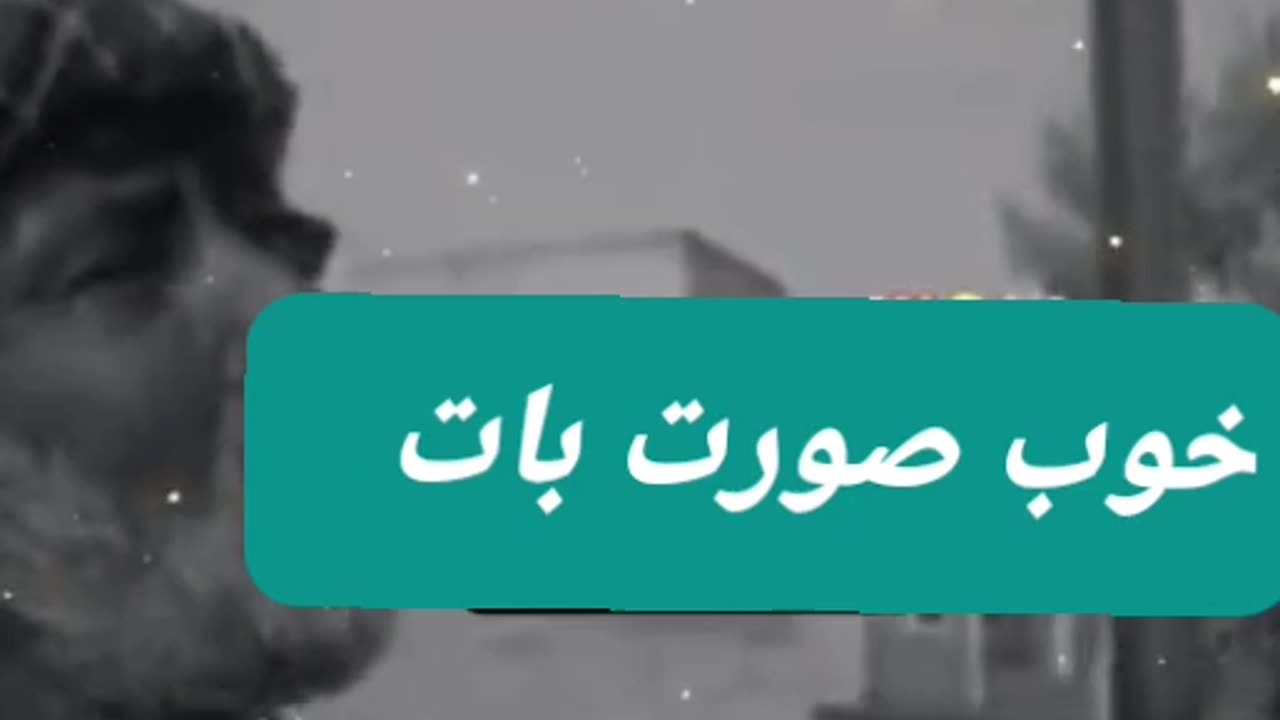 پنجابی شاعری Punjabi Poetry