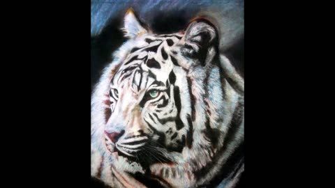 wildlife art & famous black people portrait art